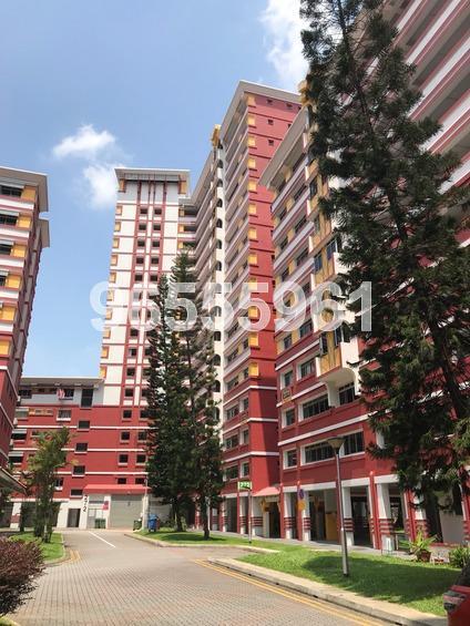 Choa Chu Kang Avenue 2 thumbnail photo